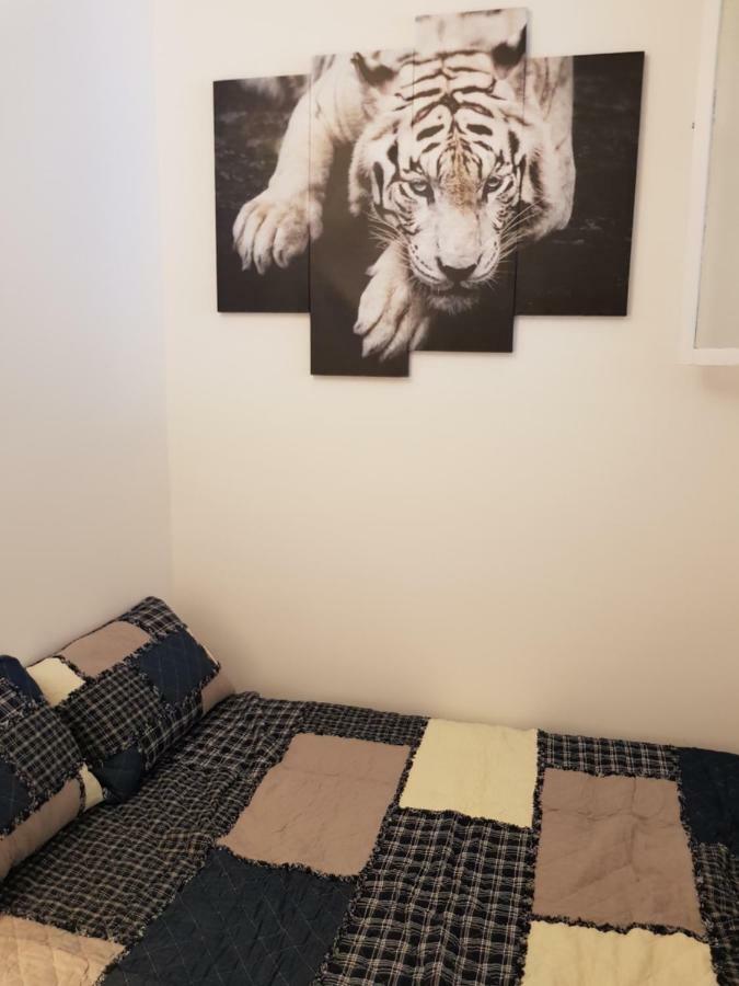 Appart... Centre Quartier Des Musiciens Apartment Nice Ngoại thất bức ảnh